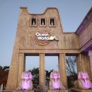 월드 D.C | 25년도 11월 오션월드 입장료,준비물 총정리 &amp; 소노벨D 객실 후기