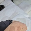 손호찬피부과의원 네이버블로그