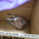 경기도 북부야생동물구조관리센터 이미지