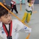 용인대용전태권도 이미지