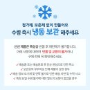 농업회사법인콩사랑(유) | 팥 36% 팥가득 찰밥, 미니 사이즈로 편하게 즐기세요! 국산 팥 찰밥 100g 8봉