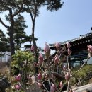 달맞이 흑두부 | 광주 달맞이 흑두부 :: “두부가 이렇게 맛있다고?” 광주 달맞이 흑두부본점 리얼 후기