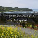 락한옥펜션 | [나루한옥펜션] 청산도 서편제 촬영지 근처 숙소 내돈내산 솔직후기