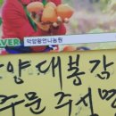 행운농원2