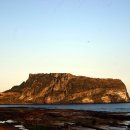 제주장애인인권포럼 이미지