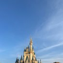 양산신-8001 | [250629] TOKYO GIRL - DAY 3🗼(신주쿠, 도쿄 디즈니랜드)