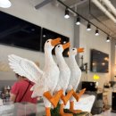 카페오리 - 부평구 장제로205번길 5 | [강릉 오리카페 배짱좋은오리 방문 후기 🦆]강릉 이색카페, 아이와 가볼만한곳, 오리 먹이주기 체험