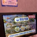 깻잎한장당구장 | 용인 처인구 고림동 맛집 [깻잎막회] : 광어 숭어 방어 연어 갈치