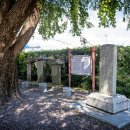 가덕도 척화비 이미지