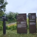 자등 2리 이미지