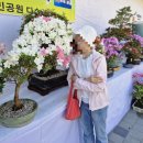 부산시민공원 다솜관 | [부산시민공원 다솜관] 부산봄꽃 전시회 24.05.04 ~24.05.07. 꽃꽃이 체험후기와 어버이날 부산 코스추천