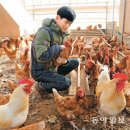 김태현농장 이미지