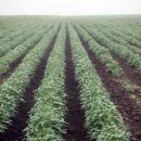 현중농장 이미지