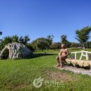 구석기체험숲4 티스토리