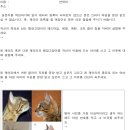 실버캐슬 캐터리 이미지