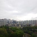 부영최고부동산 공인중개사사무소 이미지