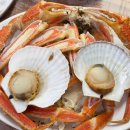 박달시장_상 | 포항 죽도시장 횟집 맛집, 대구회식당 2인 박달대게 스페셜 후기!
