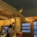 대동국수(안성점) | 봉명동 술집 '대동집' 솔직후기🍺