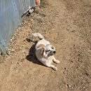 대농2농장 이미지