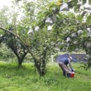 지오농장 이미지