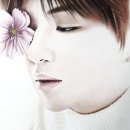 다니엘플라워 이미지