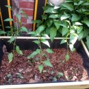 대현어린이집 이미지