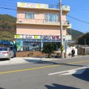달아항 앞 이미지