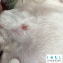 이을동물병원 이미지