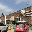 아로하스토리 | 용인 처인구 애견카페 아로하스토리