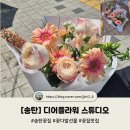 점촌로 | [송탄] 디어플라워 스튜디오