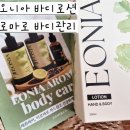삼앤코 네이버블로그