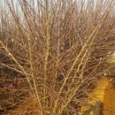 우진영농조합법인 이미지