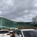 플러피독 | 2025년 11월 일산 메가주 일산 1일차 방문 후기