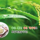 주식회사 일호 이미지