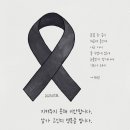 첼로공인중개사사무소 이미지