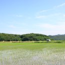천북4 이미지