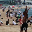 해운대 이미지