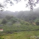 보은삼거리 이미지