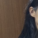 (12/21) 크리스마스 종이 비행기 썬캐처 | 모든 조각을 다 맞출 수는 없어 수많은 어제를 다시 가질 수 없듯