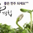 이음플러스