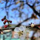 사랑슈퍼 | 수원 지동벽화마을 소금빵 맛집 카페 <지동슈퍼> 내돈내산 후기