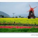 비오는날 수채화 이미지