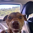 아요하우스 이미지