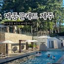 메종글래드 제주 수영장 셔틀 부대시설 제주 공항 호텔 추천