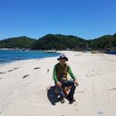 용화해변 Daum카페