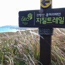 형제해안로 이미지