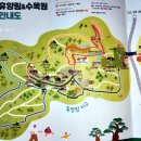 10번 도전끝에 성공! 안면도자연휴양림 행복1호 이용후기