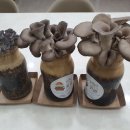 거창군치매안심센터 이미지