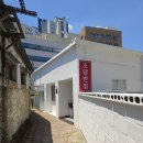 소담반점 | [내돈내산] 대구 반월당 중식 소담반점: 가성비 좋은 동성로 중식 짬뽕과 군만두 후기