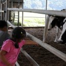 세심목장 이미지